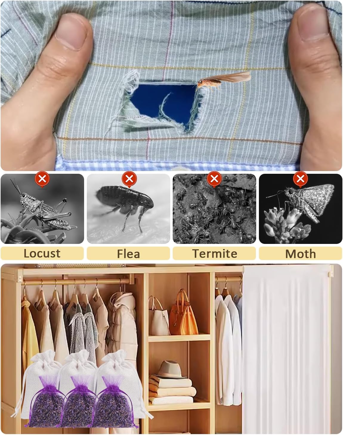 26 Pack Cedar and Lavendar Home Fragrance for Drawers and Closets - Stop Clothes Damage, Cedar Chips and Natural Dried Lavender Sachets Bags