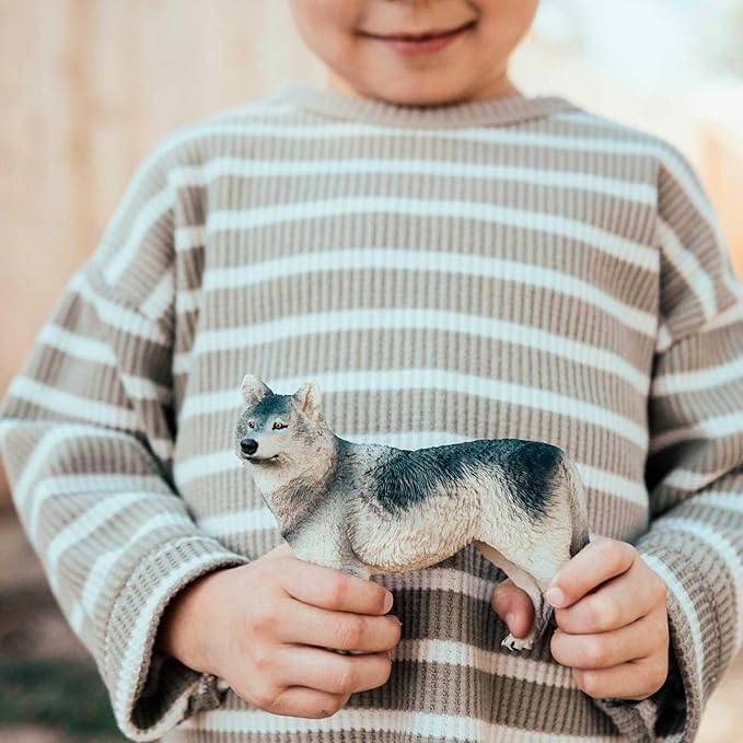 Safari Ltd. Gray Wolf Toy Figurine - Detailed 4.8" Plastic Model Figure - Fun Educational Play Toy for Boys, Girls & Kids Ages 3+