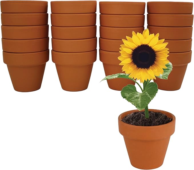 BUZZY Seeds Gardening Kits|Sunflower Seeds to Plant|Flower Starter Kit for Kids & Adults|Terracotta Mini Grow Pots|Bulk 20 Pack|Guaranteed to Grow|Wedding Favors|Teachers Gift