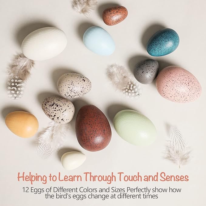OESSUF Wooden Fake Eggs Easter Eggs Play Eggs for Toddlers Pretend Wood Egg Decor for Play Kitchen Artificial Decorative Eggs for Crafts Toy Food (12PCs)