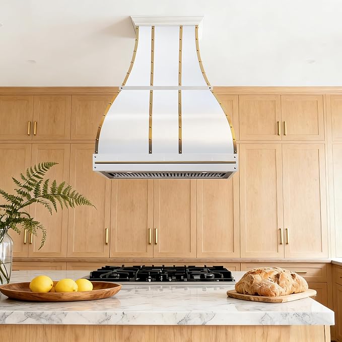 CHETTO C Stainless Steel Range Hood Cover with 4-Speed Vent Hood Insert Custom Handcrafted Metal Kitchen Fan with Towel Rack LED Light 42"W x27"D x27"H White Island Mount