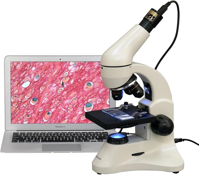 AmScope M120C-2L-PB10-E5 Digital Microscope, WF10x and WF25x Eyepieces, 40x-1000x Magnification, Brightfield, Upper and Lower LED Illumination, Plain Stage, Includes Blank and Prepared Slides, 5MP Camera and Software