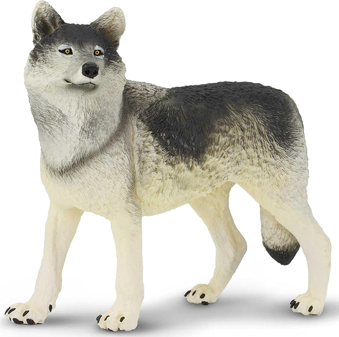 Safari Ltd. Gray Wolf Toy Figurine - Detailed 4.8" Plastic Model Figure - Fun Educational Play Toy for Boys, Girls & Kids Ages 3+