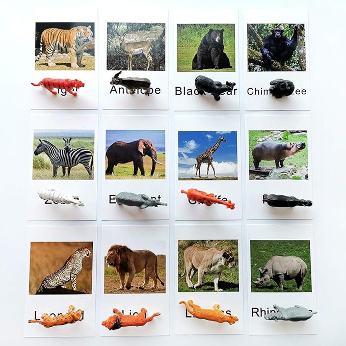MEROCO Montessori Zoo Safari Animal Match - Miniature Figurines with 2 Part Matching Cards Montessori Language Materials Preschool Learning Toy NEWTT004
