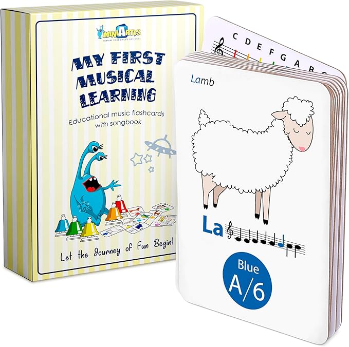 MINIARTIS Musical Flash Cards for Kids | Learning Notes Reading | Educational Color Coded Music Note Theory Flashcards for Beginning Students | Large Size Cards
