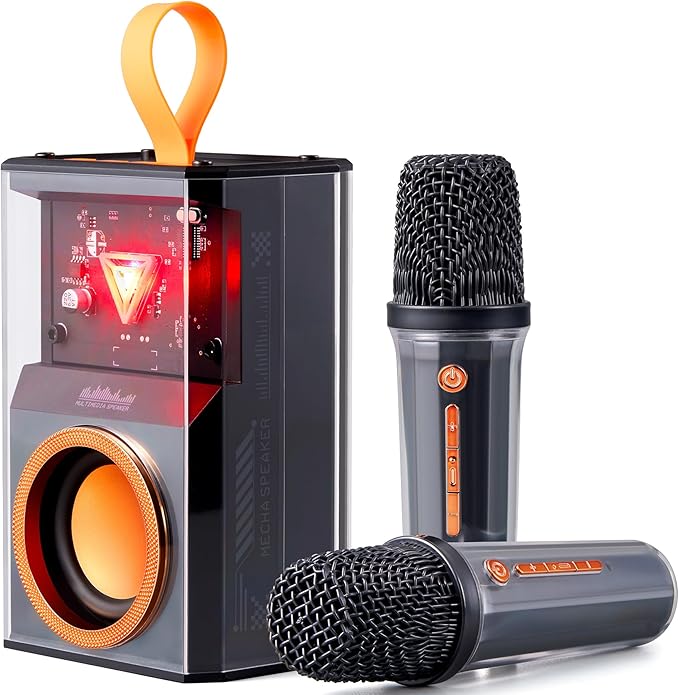Karaoke Machine for Kids & Adults, Portable Bluetooth Mini Karaoke Speaker with 2 Wireless Microphone and Lights, Birthday Gifts for Girls & Boys, Toys for Girls, Family Home Party (Black)