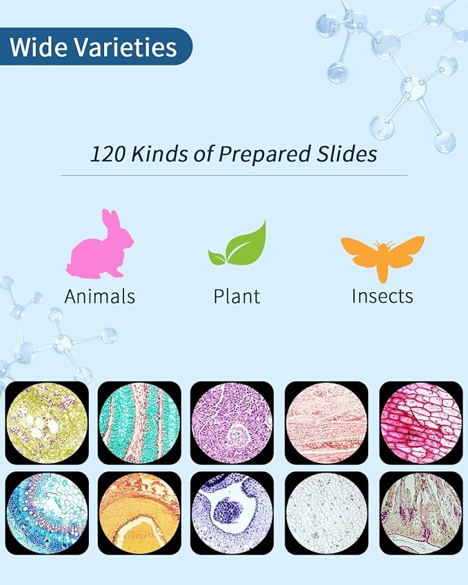 120-Pcs Microscope Slides with Specimens,Pre-Made Glass Slides with Specimens,Educational Microscope Slides and Covers for Young Scientists,Perfect for Biology Class and Experiments