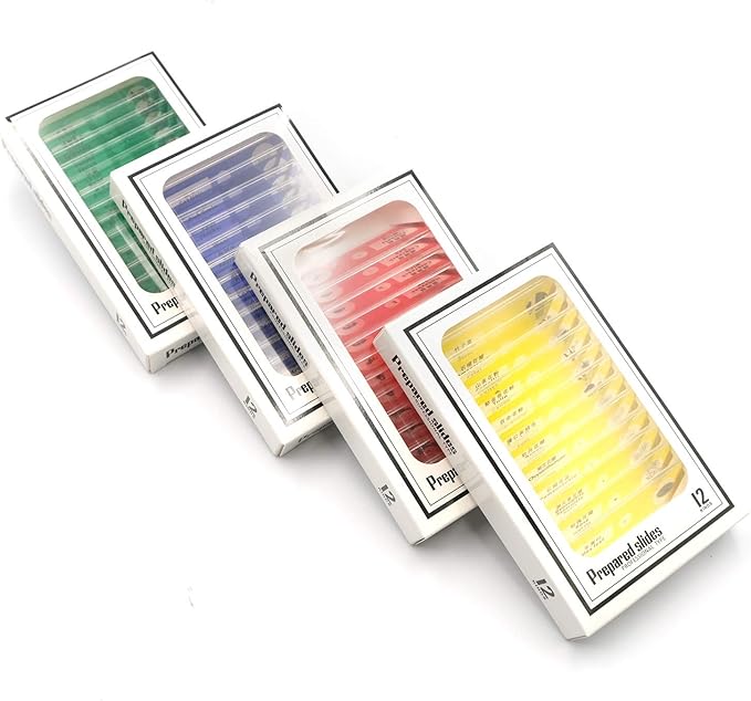 48pcs Prepared Plastic Microscope Slides Biological Specimen with 4 Boxes for Children Student Enlighten Education