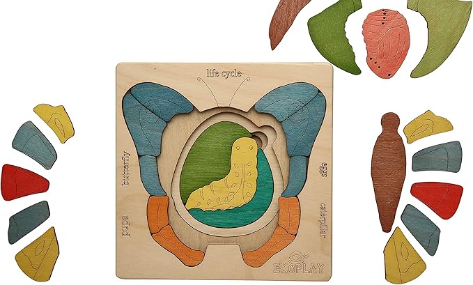 Life Cycle of A Butterfly | 31 Piece Wooden Multilayered Jigsaw Puzzles for Kids | Educational Toy and Gift for Boys & Girls 3 Years and Above