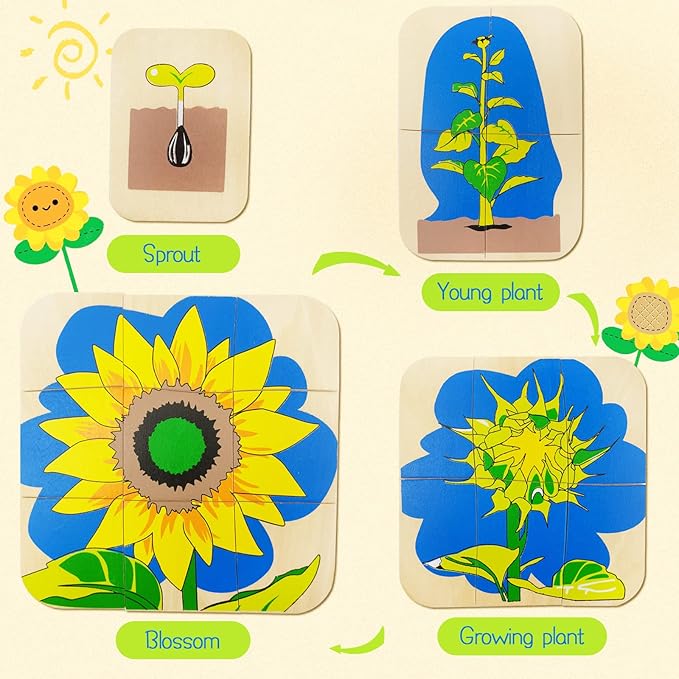Montessori Wooden Puzzles for Kids Ages 4-8, 4 Layer Life Cycle Of Sunflower Jigsaw Puzzle for Toddlers, Children Preschool Learning Educational Puzzles Summer Toys Gift for Boys and Girls (Sunflower)