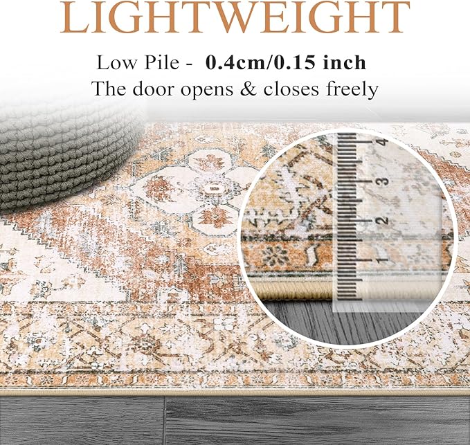 Lahome Rug for Living Room Machine Washable Area Rug 6x9 Boho Non Slip Bedroom Carpet Throw Ultra Thin Carpet for Dining Room, Farmhouse Neutral Print Soft Indoor Mat for Office Home (Taupe, 6'x9')