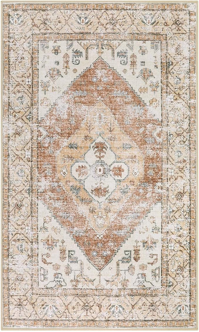 Lahome Boho Washable Living Room Area Rug 3x5 Throw Non-Slip Rugs for Bedroom Aesthetic Lightweight Thin Entry Rug Kitchen Rugs Oriental Distressed Print Capet for Office Bathroom Laundry Room
