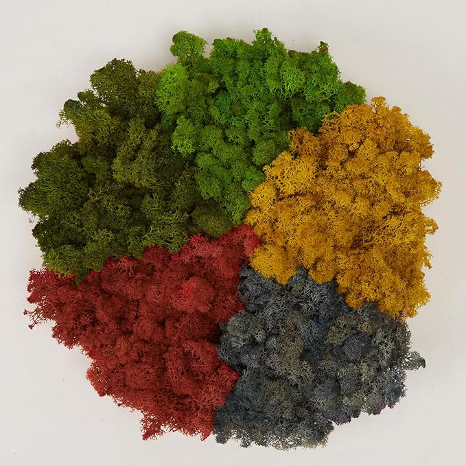 Preserved Reindeer Moss Natural Green DIY Kit Gardenning Art Wall Decor Florist Decor Easter Table Decor Wedding