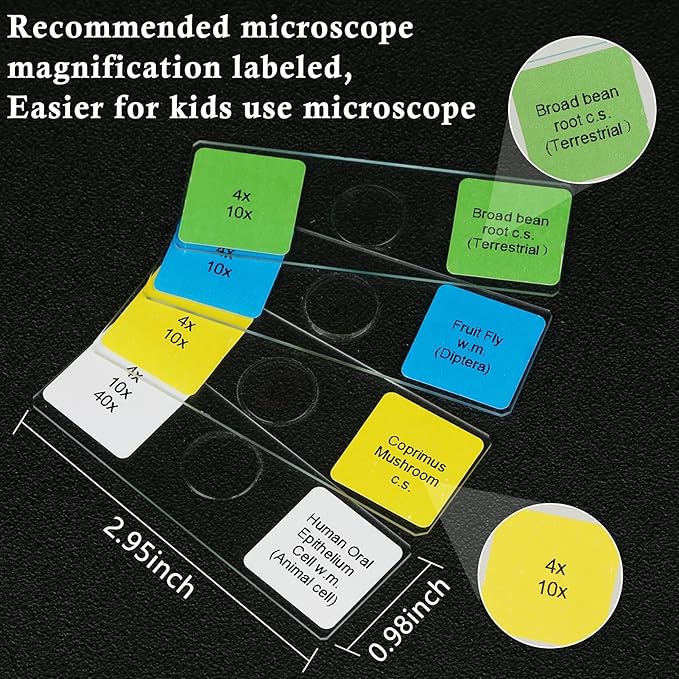 Microscope Slides with Specimens for Kids, 30 Lab-Grade Prepared Microscope Slides, Animal Plant Microbe Cells, STEM Biology Kit for Kids Ages 6-8 Homeschool, Classroom Labs & Science Education