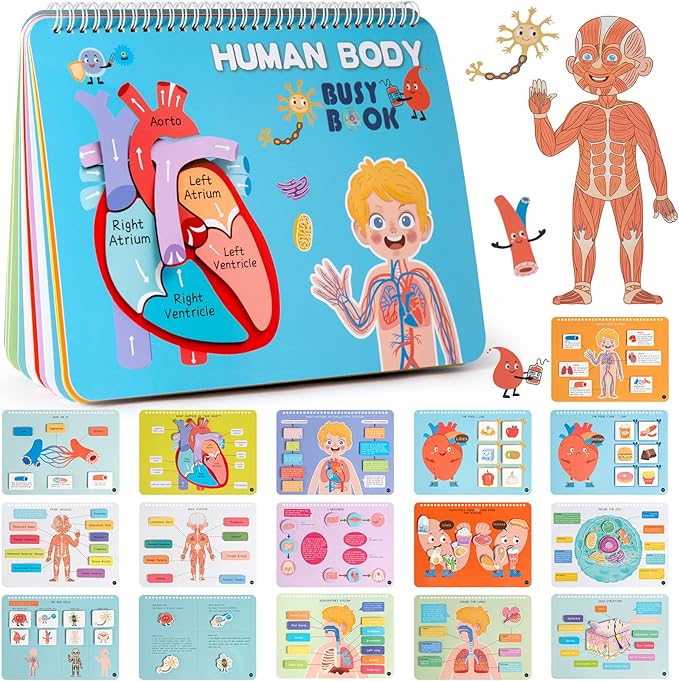Freebear Montessori Busy Book for Kids, Human Body Anatomy Book for Toddlers, Preshool Kindergarten Learning Activities, Autism Sensory Toys, Gifts for Girls and Boys 4 5 6 7 Years - Human Body System