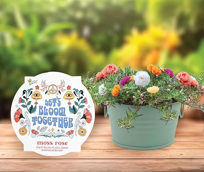 Buzzy Seeds Cactus, Moss Rose, Aloe Mini Basin Grow Kit Trio | 3-Pack | Guaranteed to Grow | Best Indoor-Outdoor Gardening Gift