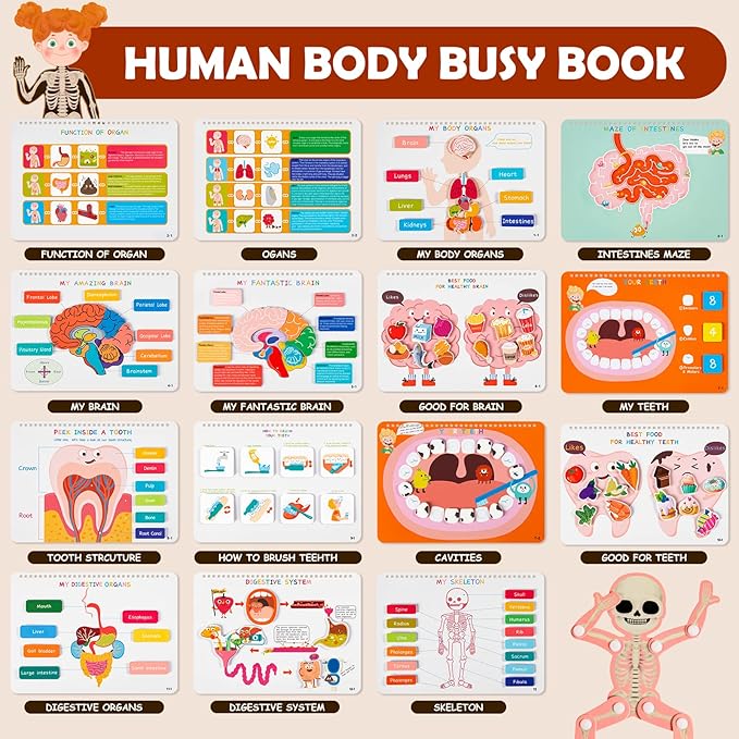 Freebear Montessori Busy Book for Kids, Human Body Anatomy Book for Toddlers, Preshool Kindergarten Learning Activities, Autism Sensory Toys, Travel Toys, Gifts for Girls and Boys 4 5 6 7 8 Years