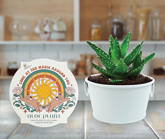 Buzzy Seeds Cactus, Moss Rose, Aloe Mini Basin Grow Kit Trio | 3-Pack | Guaranteed to Grow | Best Indoor-Outdoor Gardening Gift