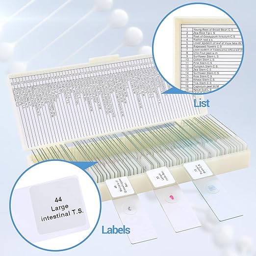60 Microscope Slides with Specimens for Kids, Prepared Microscope Slides for Kids Microbiology, Prepared Microscope Slides for Adults