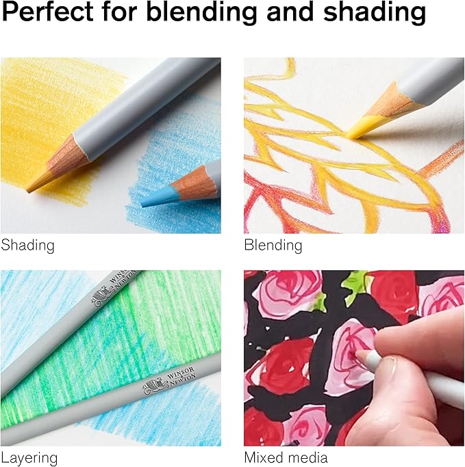 Winsor & Newton Studio Collection Artist Pencils, Color Pencils, Set of 24