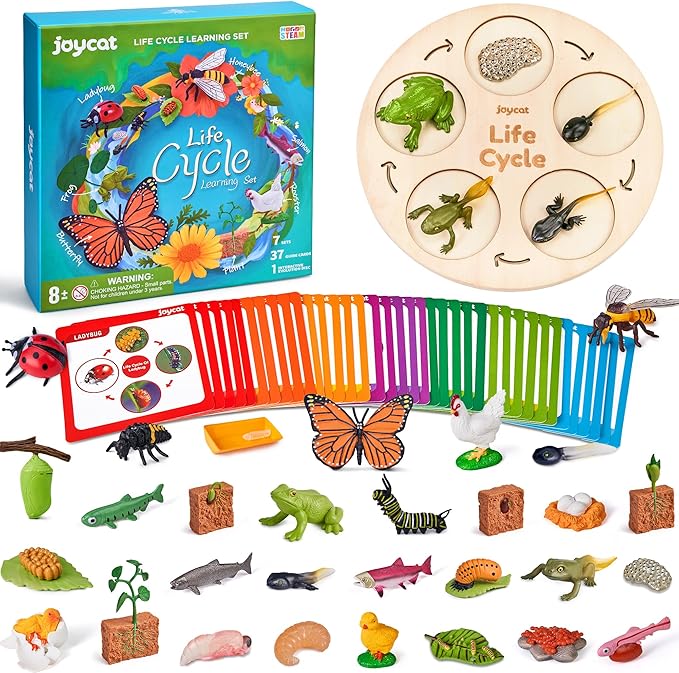 JoyCat Life Cycle Learning Education Toys, Insect Caterpillar to Butterfly kit, Ladybug, Bee, Tadpole to Frog Kit Life Cycle Toys for Kids, Preschool Learning Activities for Kids (Animals and Plant)