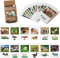 MEROCO Montessori Animal Match - Miniature Farm Animal Toy Figurines with Matching Cards Montessori Language Materials Preschool Learning Toy NEWT033