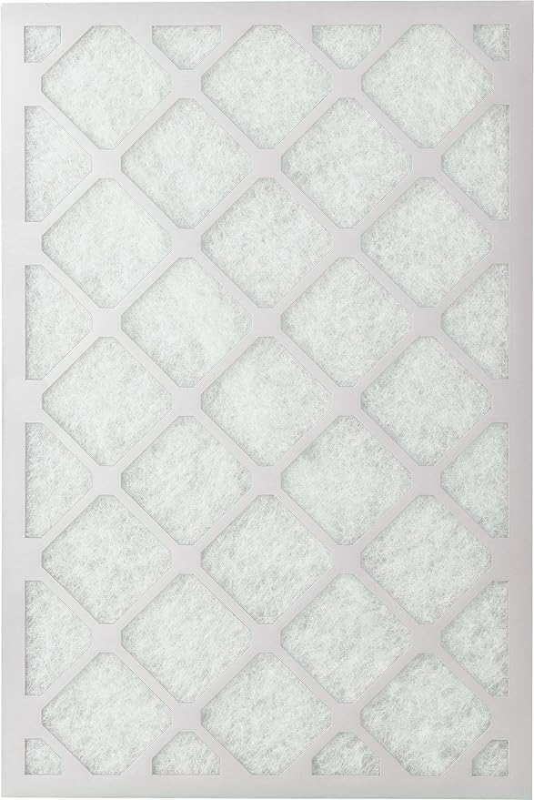 Nordic Pure 20x30x1 (Actual Size: 19 5/8 x 29 5/8 x 3/4) Poly Green MERV 6 AC Furnace Air Filters – Reduces Dust, Pollen, Pet Dander & Allergens – 6-Pack