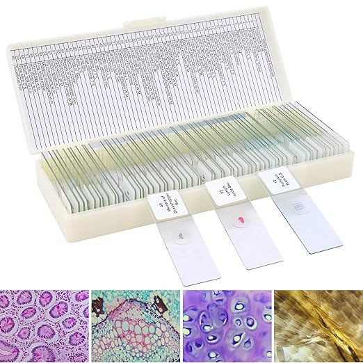 60 Microscope Slides with Specimens for Kids, Prepared Microscope Slides for Kids Microbiology, Prepared Microscope Slides for Adults