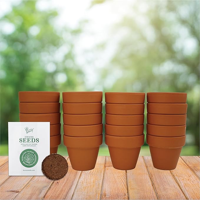BUZZY Seeds Gardening Kits|Sunflower Seeds to Plant|Flower Starter Kit for Kids & Adults|Terracotta Mini Grow Pots|Bulk 20 Pack|Guaranteed to Grow|Wedding Favors|Teachers Gift