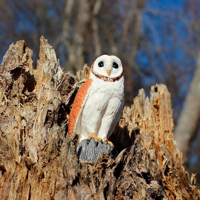 Safari Ltd. Barn Owl Figurine - Detailed 2.75" Plastic Model Figure - Fun Educational Play Toy for Boys, Girls & Kids Ages 3+