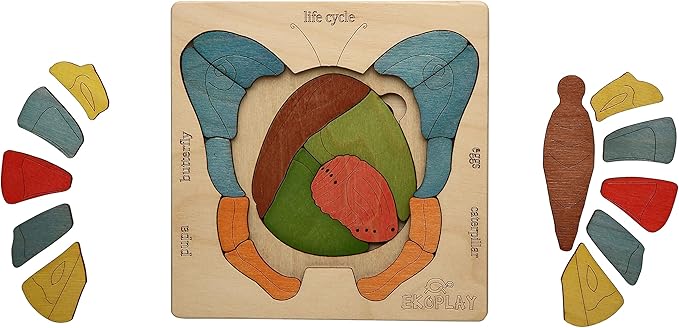 Life Cycle of A Butterfly | 31 Piece Wooden Multilayered Jigsaw Puzzles for Kids | Educational Toy and Gift for Boys & Girls 3 Years and Above