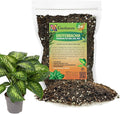 Gardenera Premium Dumb Cane Potting Soil Mix - Ideal Blend for Growing Robust and Healthy Dumb Cane Plants - 2 Quart