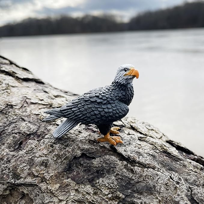 Safari Ltd. River Ecosystem TOOB - Figurines of Bald Eagle, Beaver, Alligator & More - Fun Educational Play Toy for Boys, Girls & Kids Ages 3+