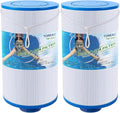 TOREAD Spa Filter Replaces Watkins 303279, FC-2402, PFF42TC-P4, 78460, Lifesmart, Freeflow, AquaTerra Hot Tub Filters, 1 1/2" MPT Thread Fine Thread, 2 Pack