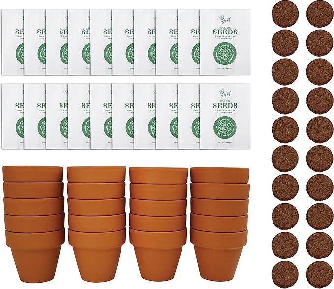 BUZZY Seeds Terracotta Mini Grow Pots | Herb, Plant, Flower Starter Kit for Kids & Adults | Assorted 20-Pack, | Lavender Seeds Guaranteed to Grow | Indoor Grow Your Own Plant Gardening Gift