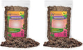 Gardenera Madagascar Palm Plant Potting Soil - All-Natural Blend for Thriving Palms - Boosts Root Health and Distinctive Elegance - 10 Quart