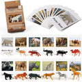 MEROCO Montessori Animal Match - Miniature Forest Animal Toy Figurines with Matching Cards Montessori Language Materials Preschool Learning Toy NEWTT0010YS3