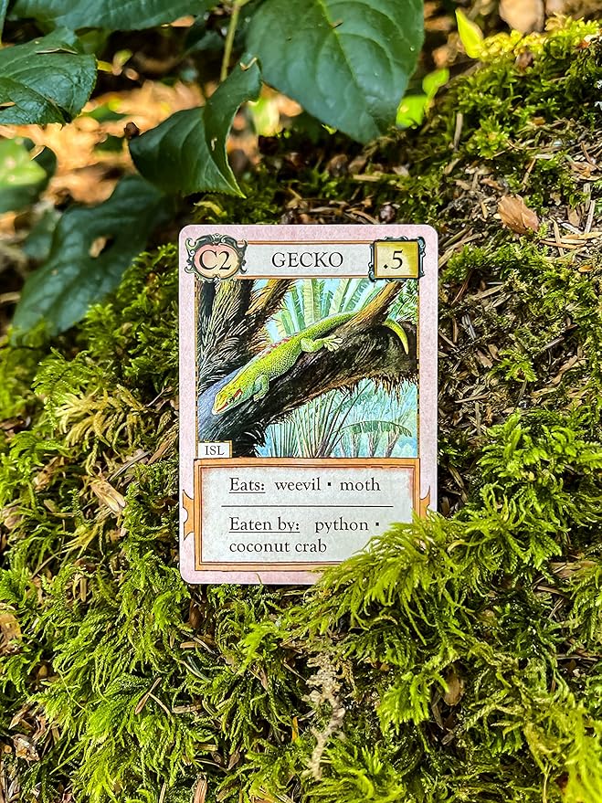 Ecologies: Hidden Habitats - Use Science to Build Food Webs in 7 Biomes - Beautiful Vintage Nature Art for The Classroom or Game Night